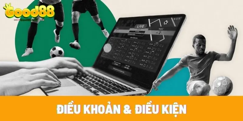 Điều khoản & điều kiện