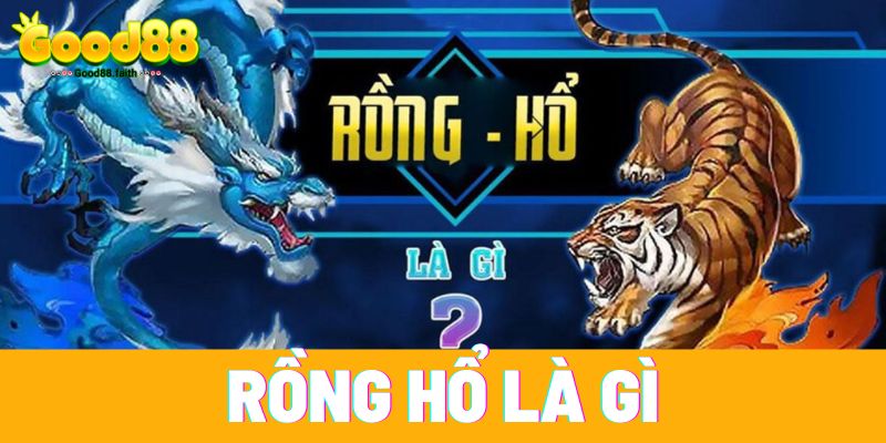 Rồng Hổ Là Gì